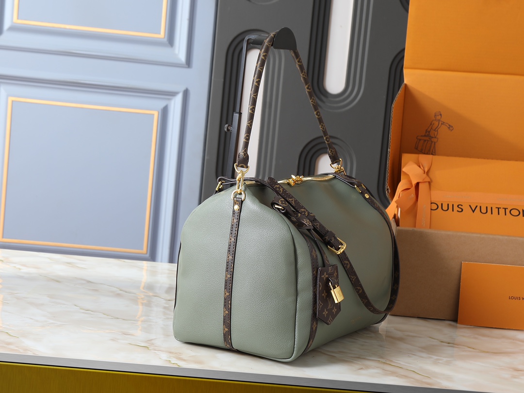 New Luxury LV Bag 10107