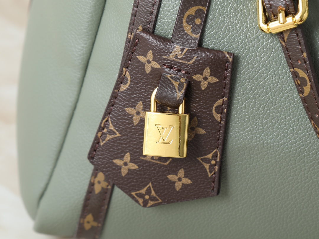 New Luxury LV Bag 10107