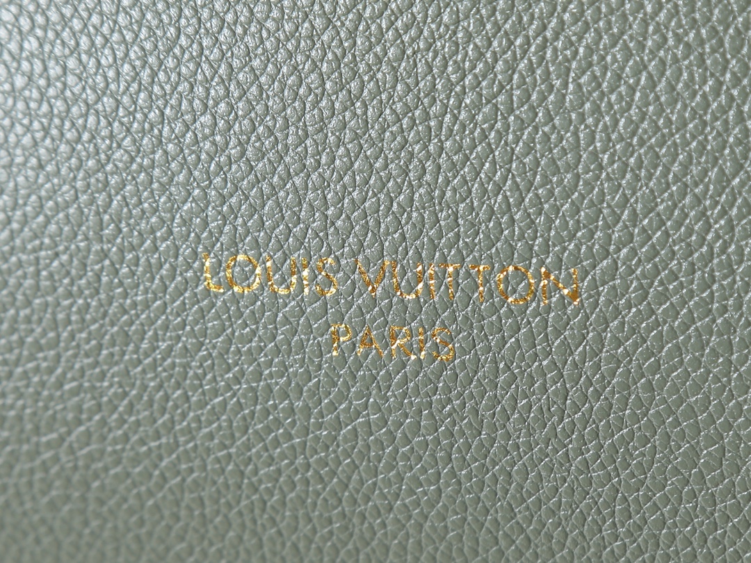 New Luxury LV Bag 10107