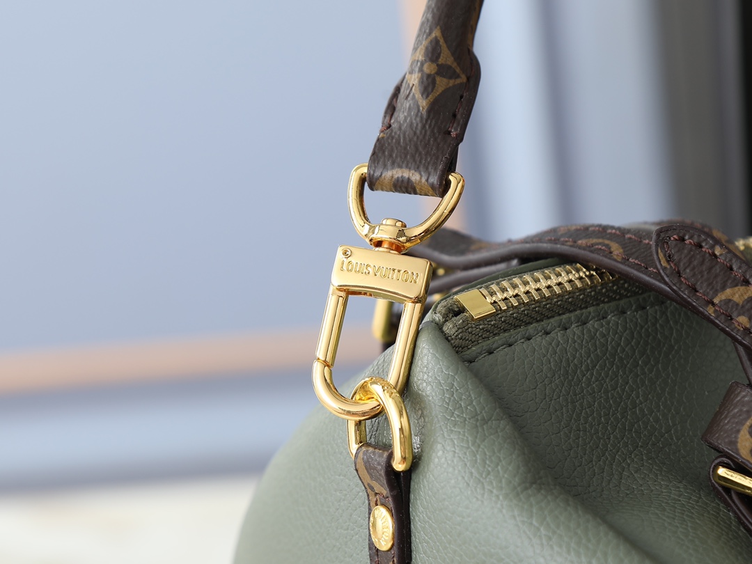 New Luxury LV Bag 10107