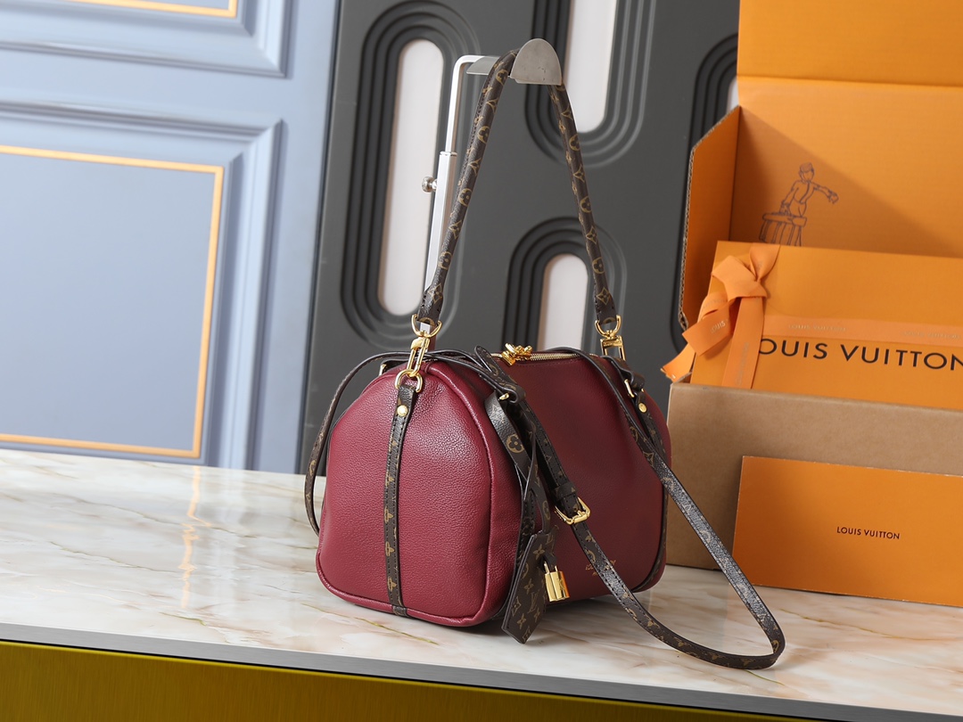 New Luxury LV Bag 10108