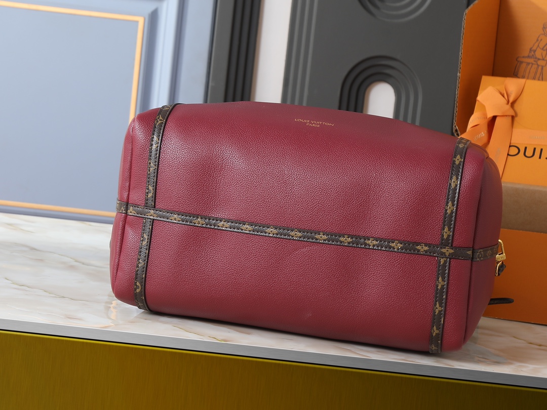 New Luxury LV Bag 10109