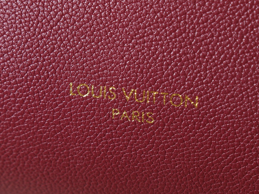 New Luxury LV Bag 10109
