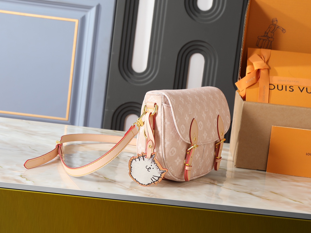 New Luxury LV Bag 10110