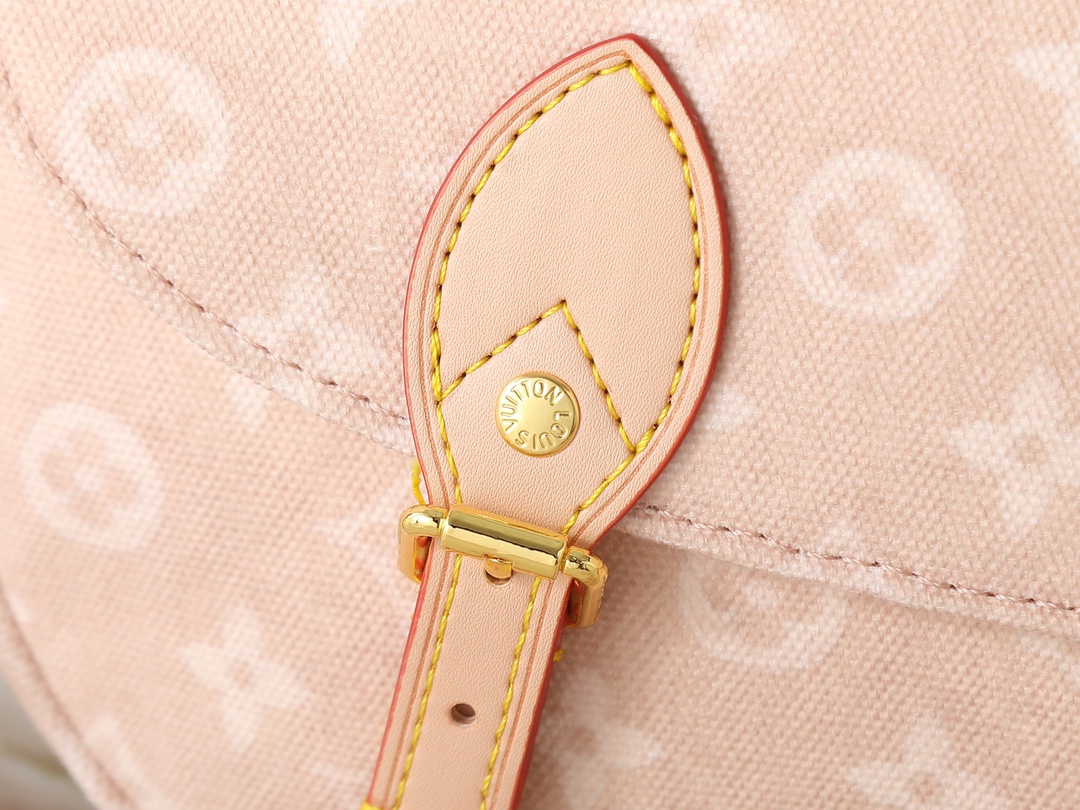 New Luxury LV Bag 10110