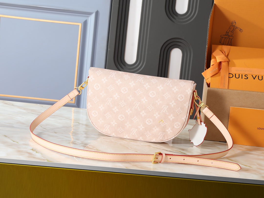 New Luxury LV Bag 10110