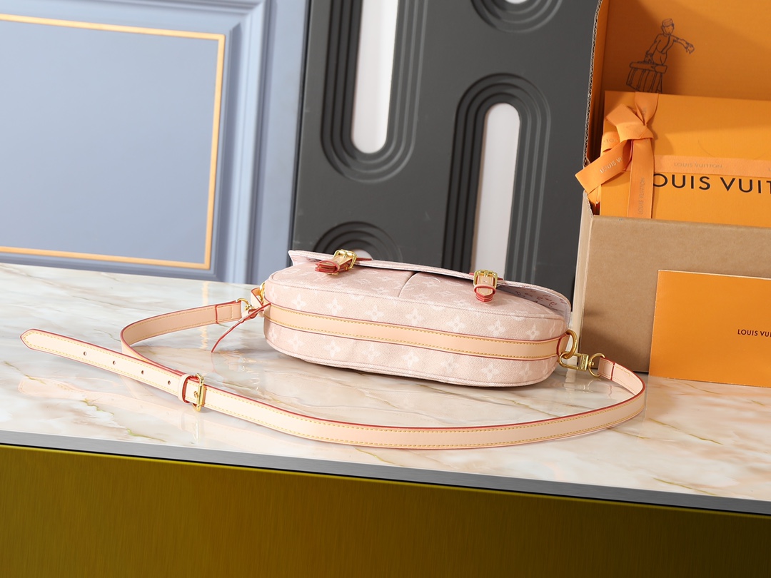 New Luxury LV Bag 10110