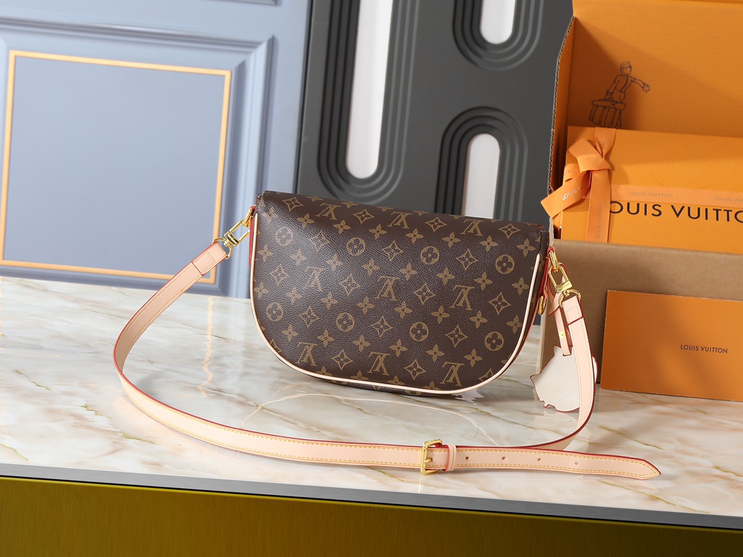 New Luxury LV Bag 10111