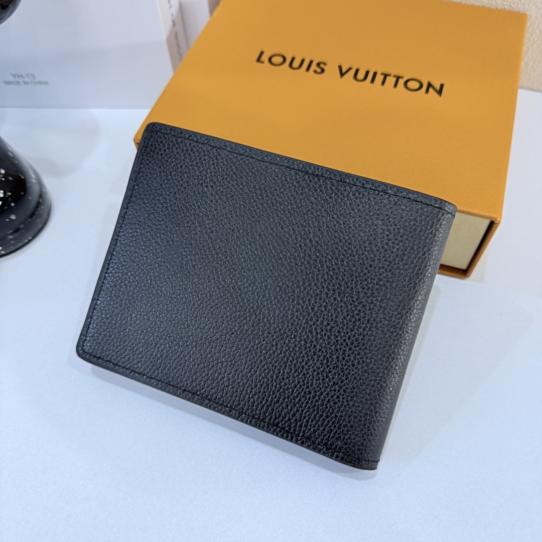 New Luxury LV Bag 10166