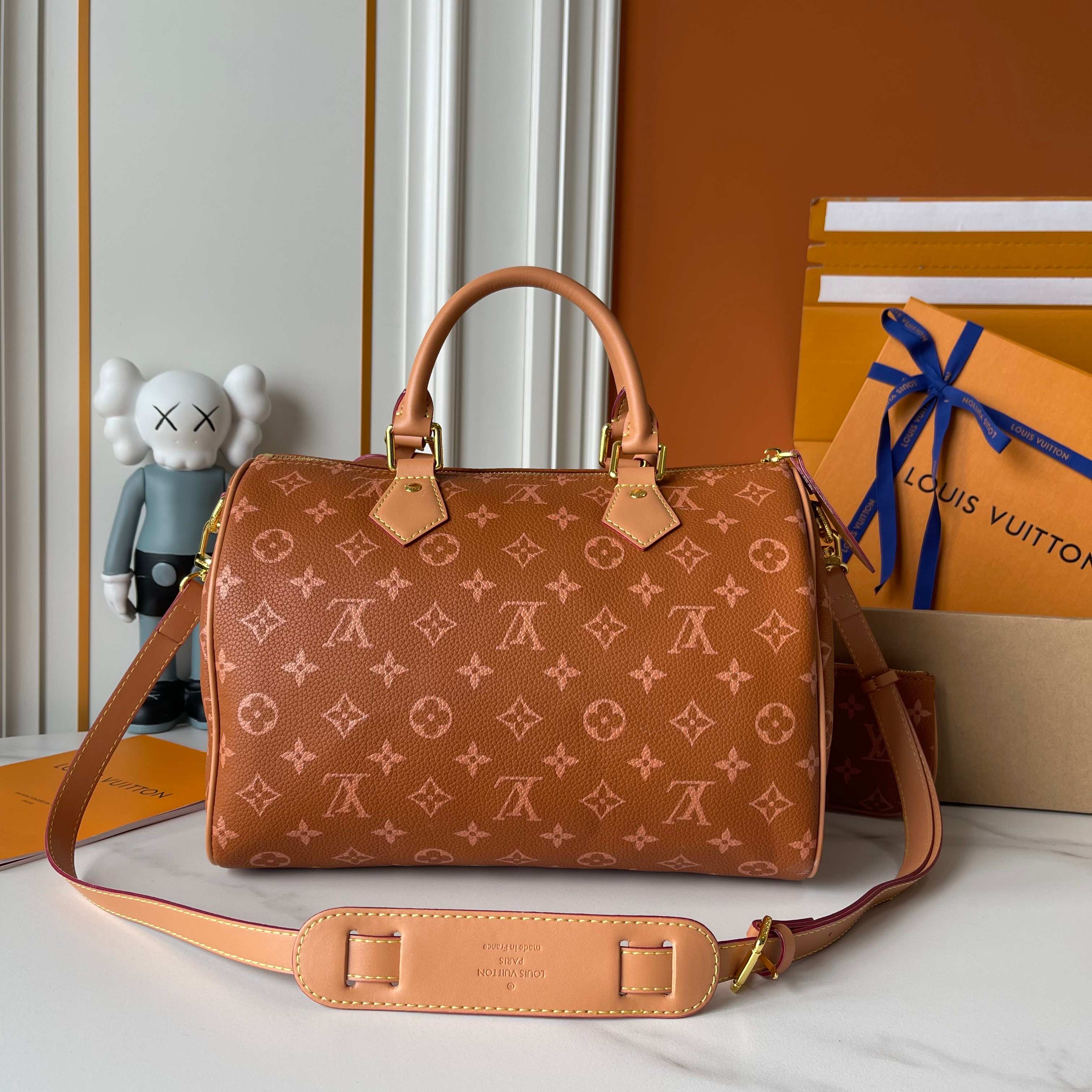 New Luxury LV Bag 10169
