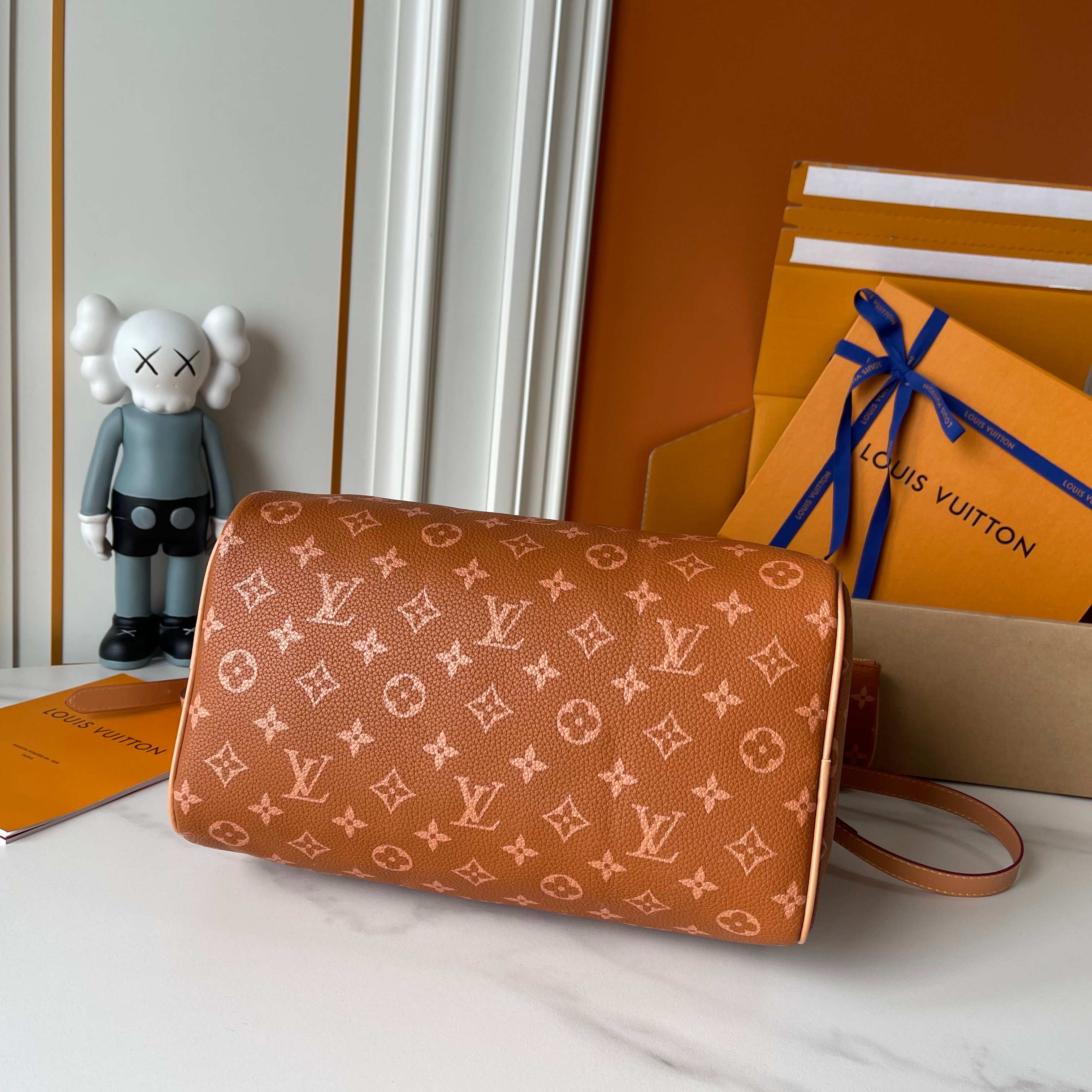 New Luxury LV Bag 10169