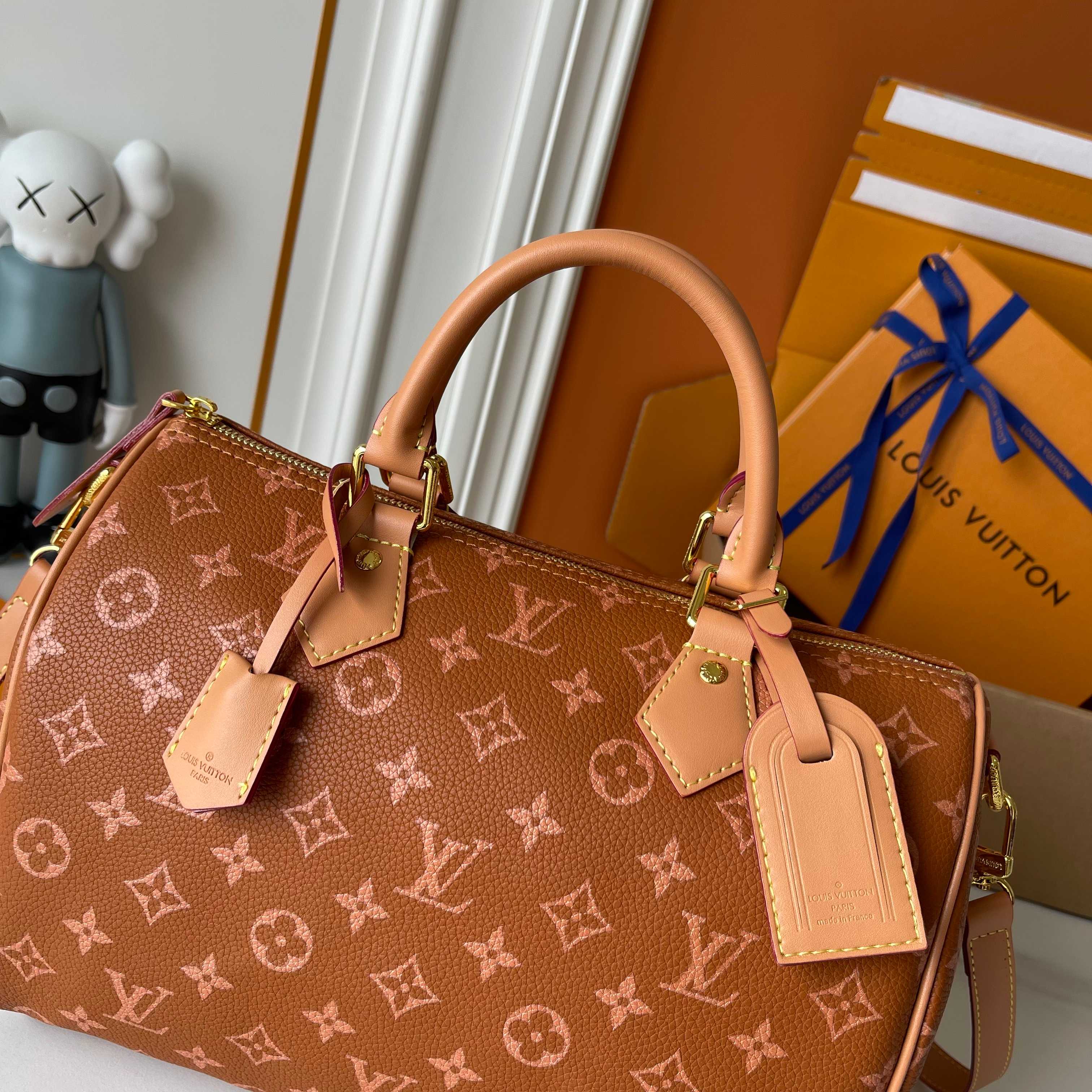 New Luxury LV Bag 10169