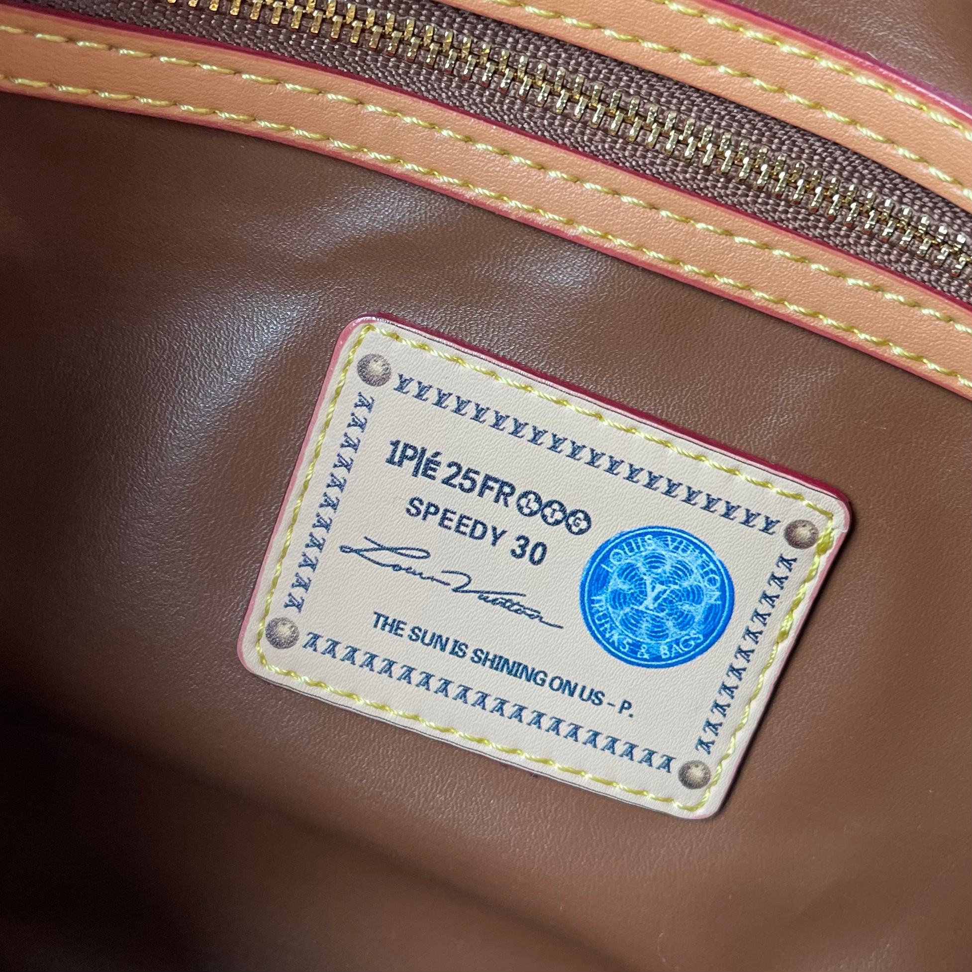 New Luxury LV Bag 10169