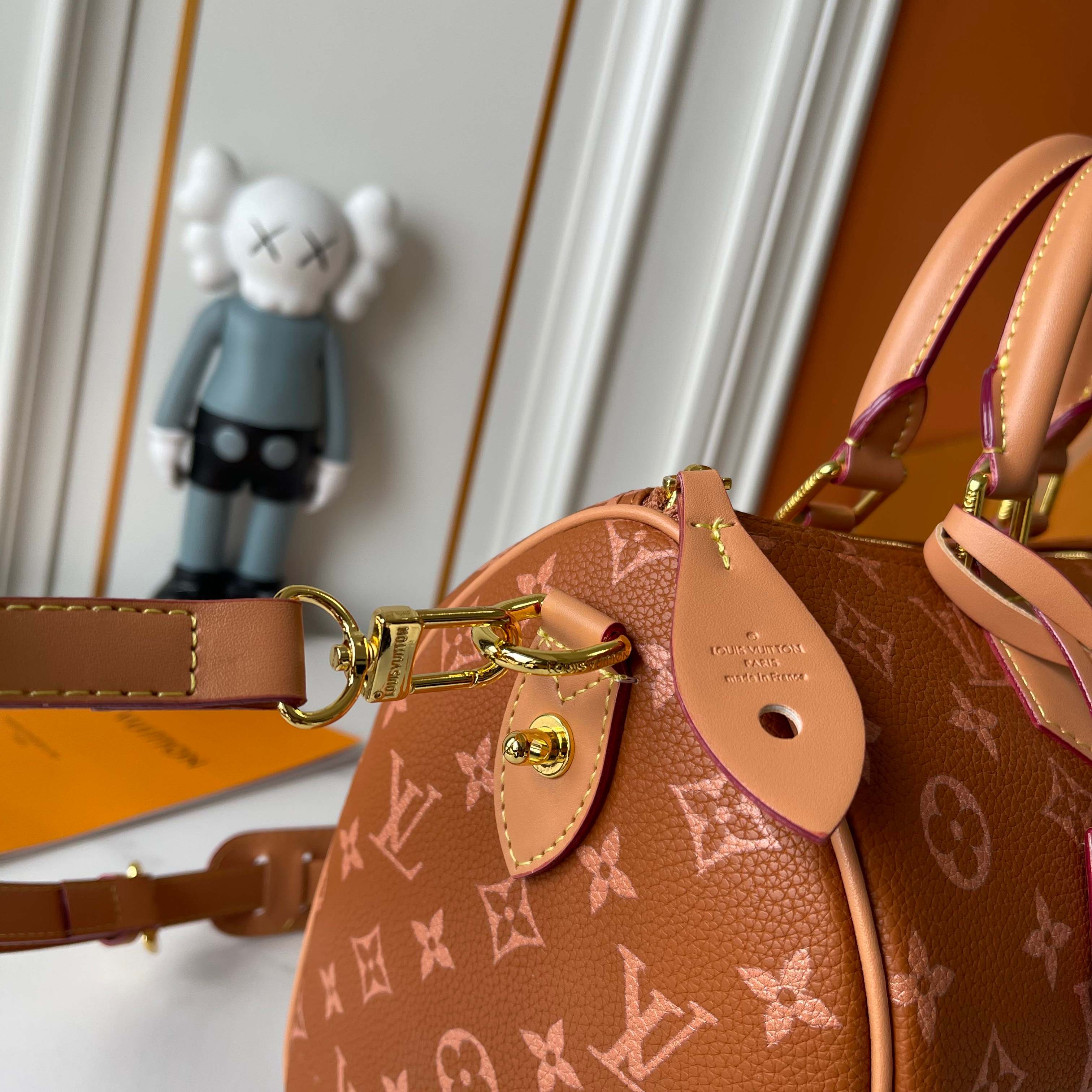 New Luxury LV Bag 10169