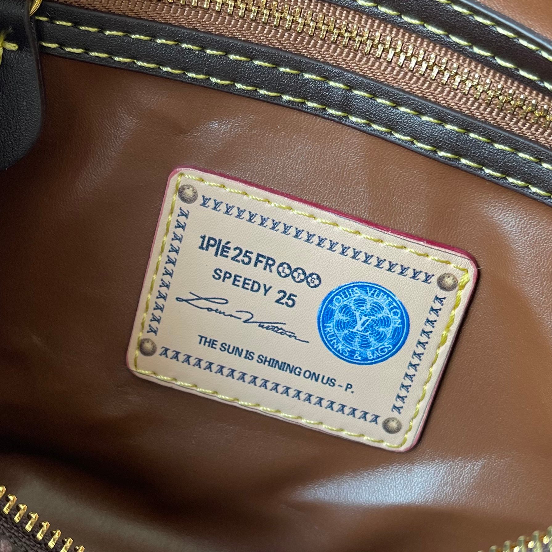 New Luxury LV Bag 10171