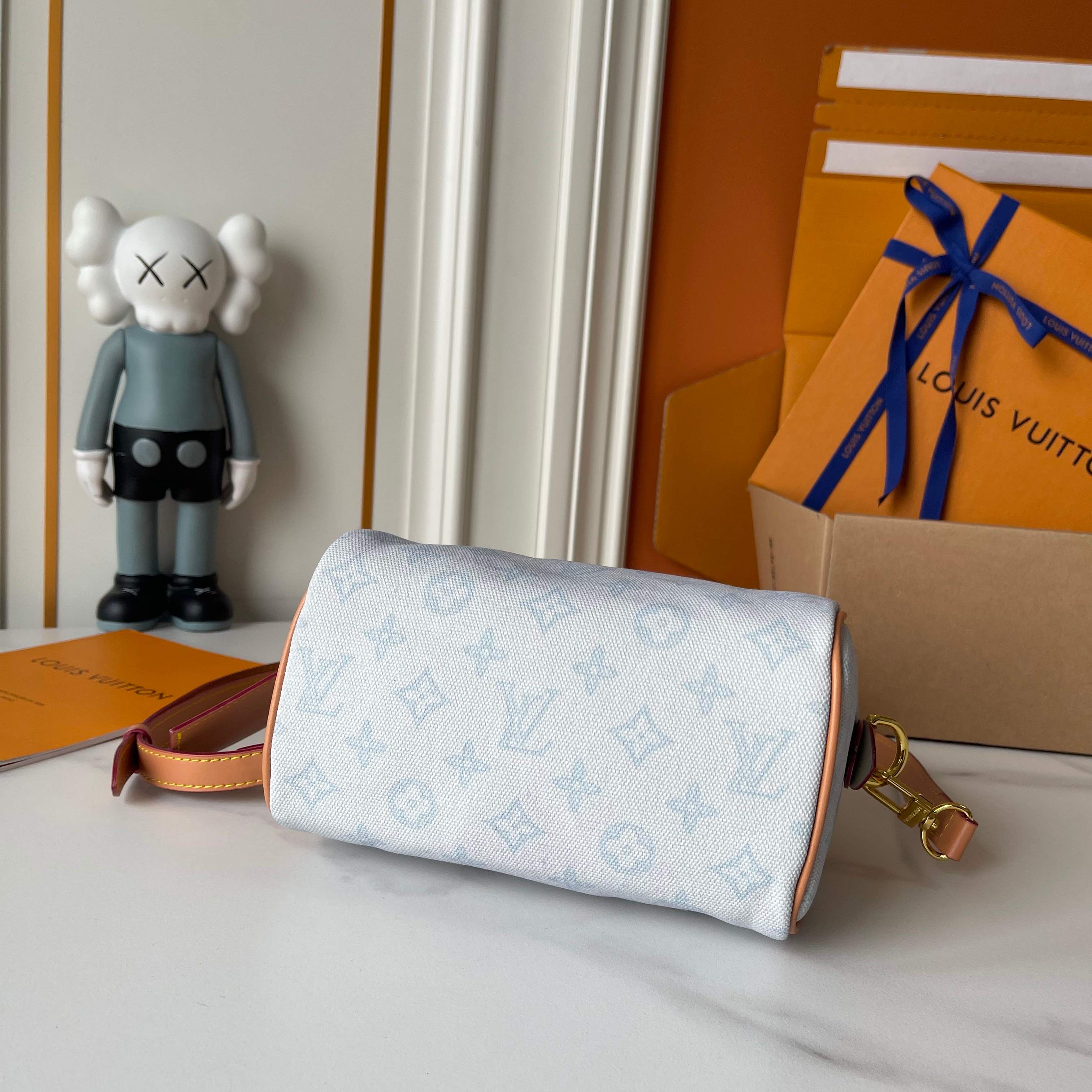 New Luxury LV Bag 10172