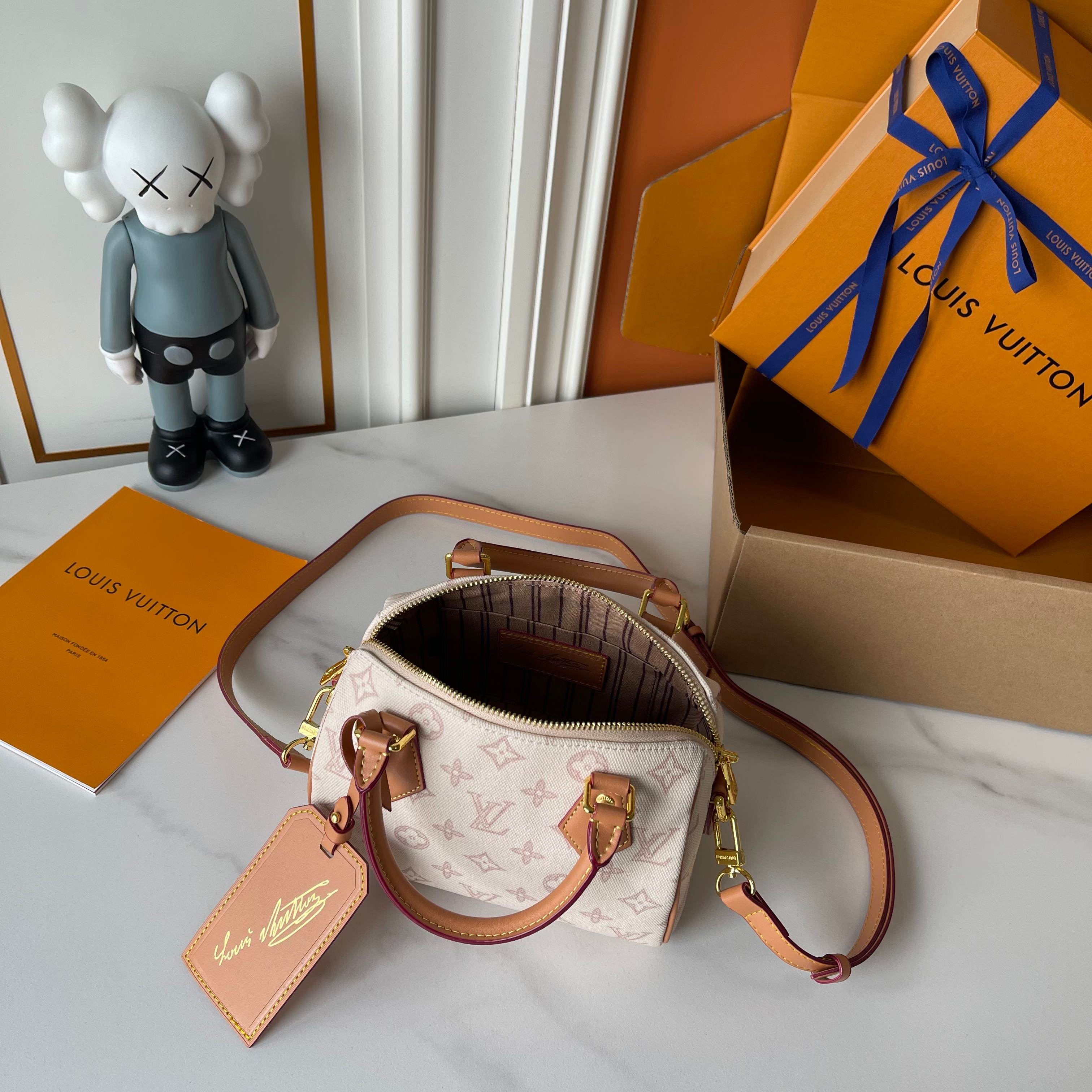 New Luxury LV Bag 10173