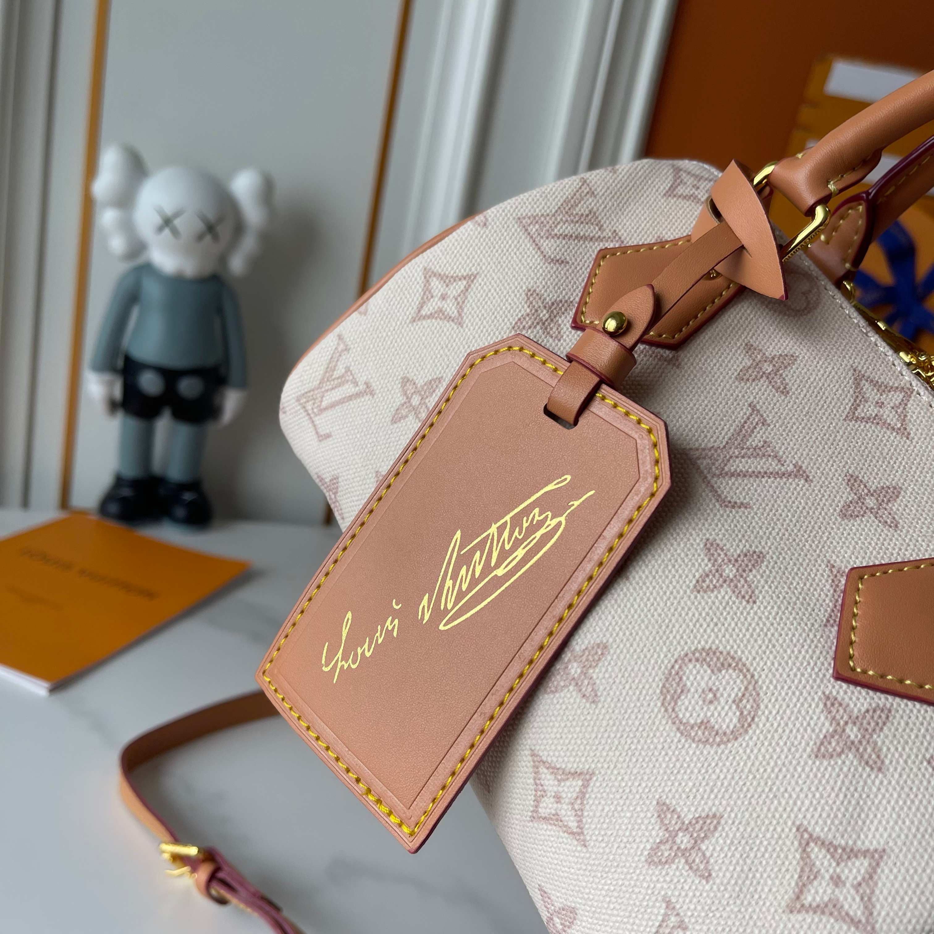New Luxury LV Bag 10173