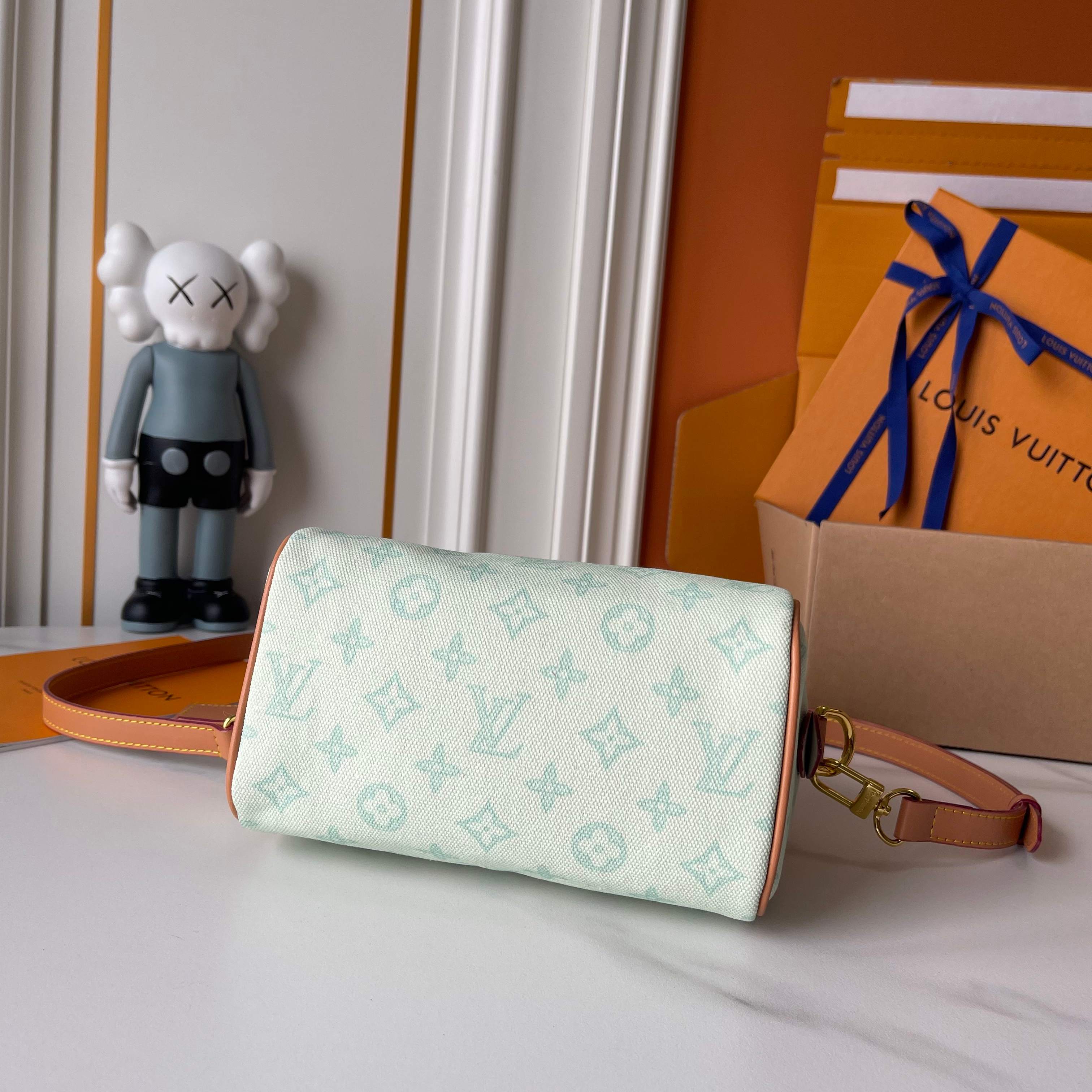 New Luxury LV Bag 10174