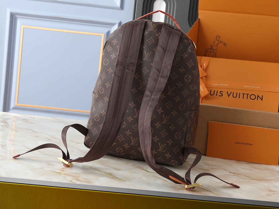 New Luxury LV Bag 10176