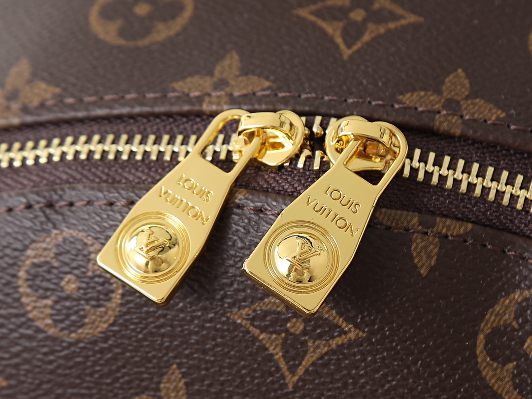 New Luxury LV Bag 10176