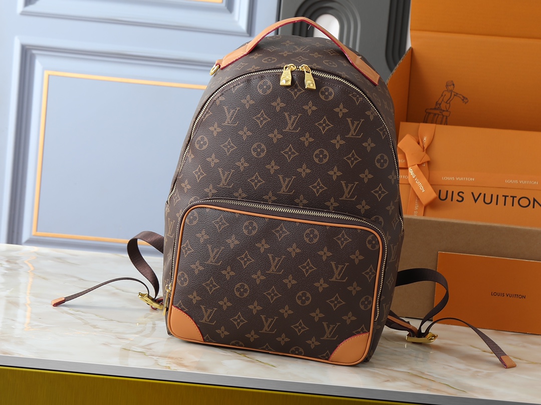 New Luxury LV Bag 10176