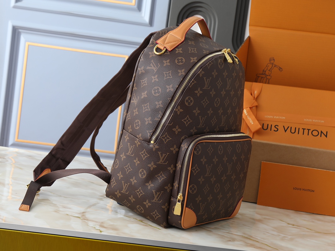 New Luxury LV Bag 10176