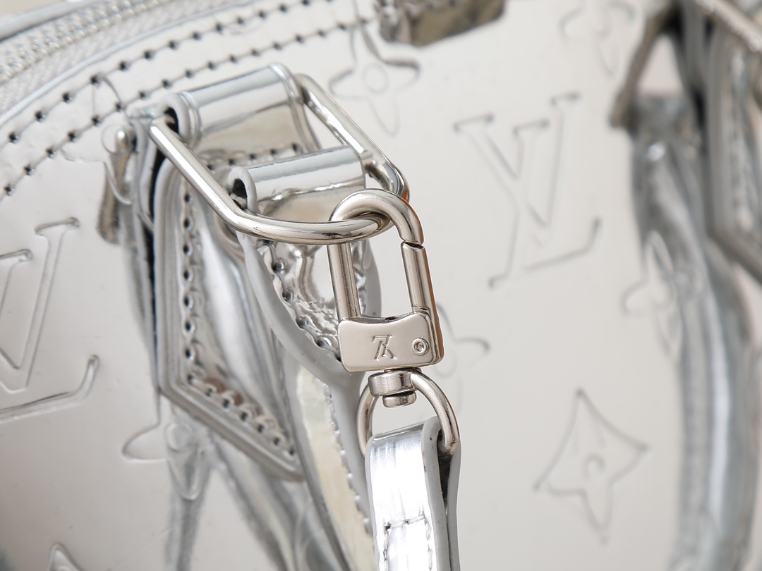 New Luxury LV Bag 10179