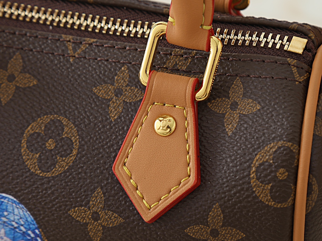 New Luxury LV Bag 10185