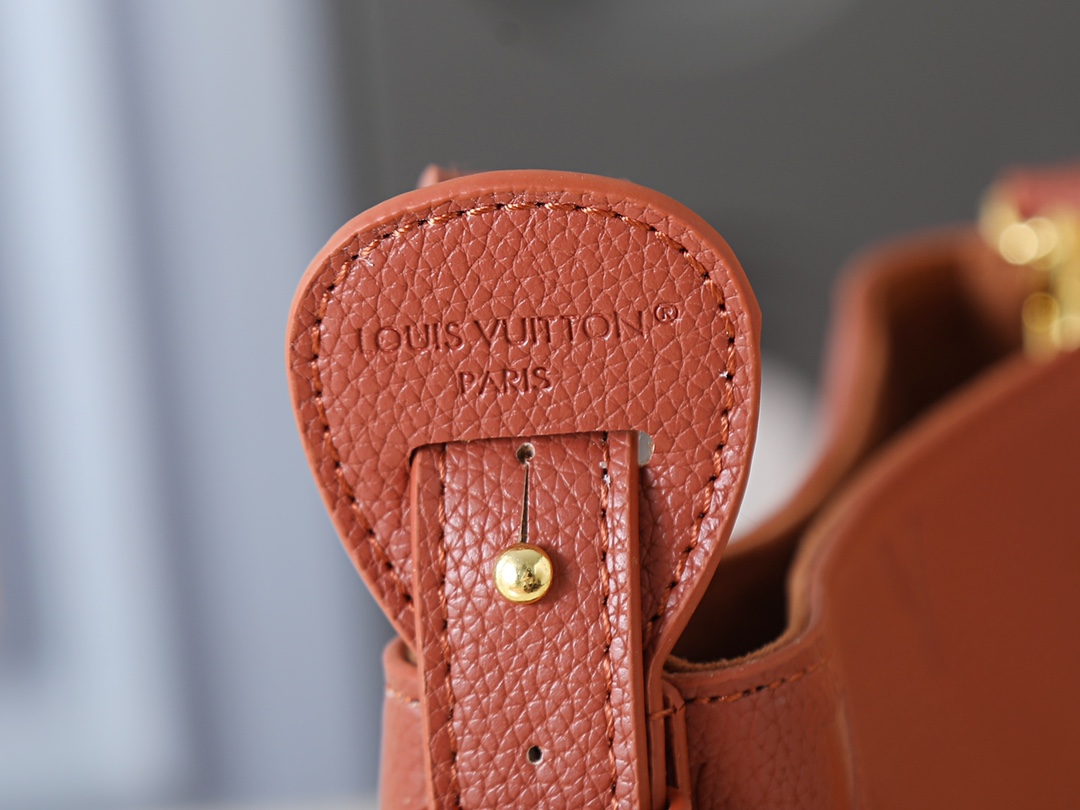 New Luxury LV Bag 10191