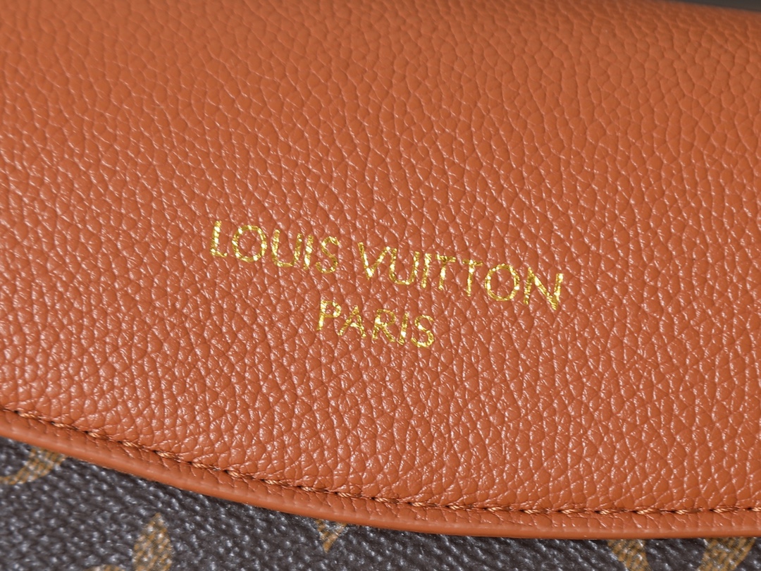 New Luxury LV Bag 10202