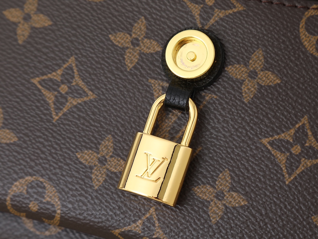 New Luxury LV Bag 10205