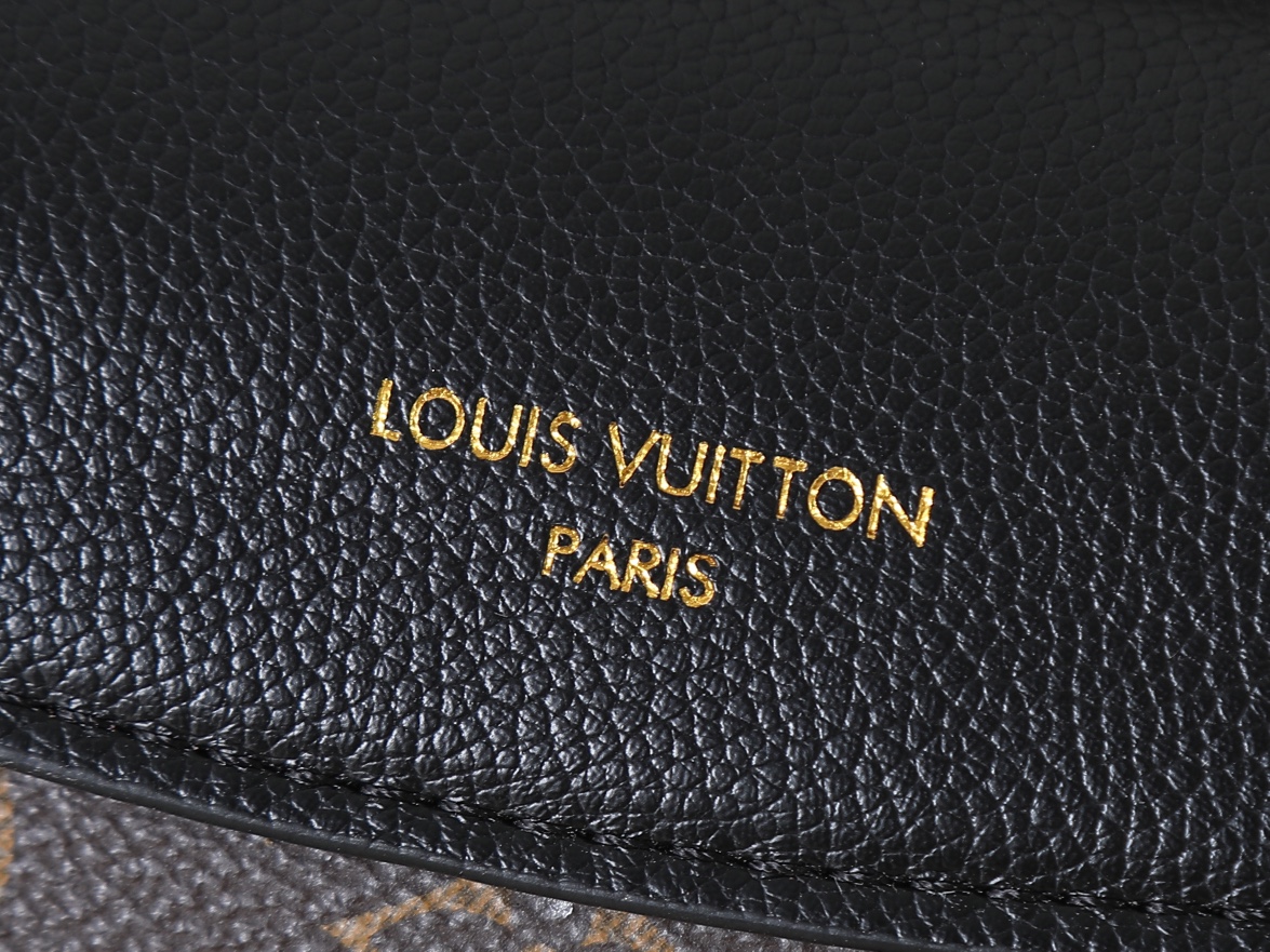 New Luxury LV Bag 10205