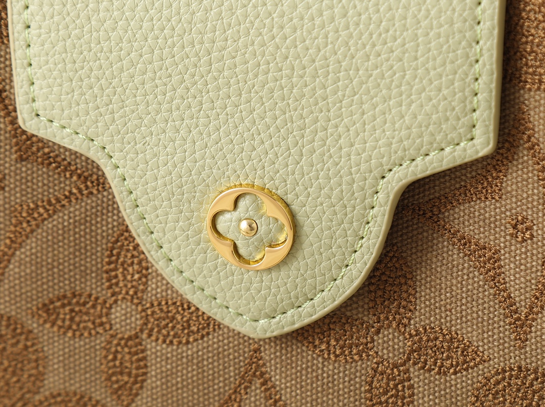 New Luxury LV Bag 10210