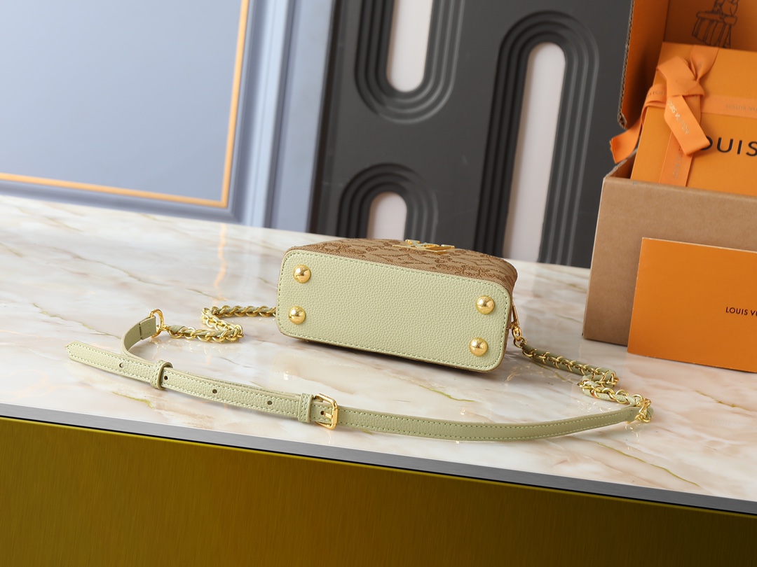 New Luxury LV Bag 10210