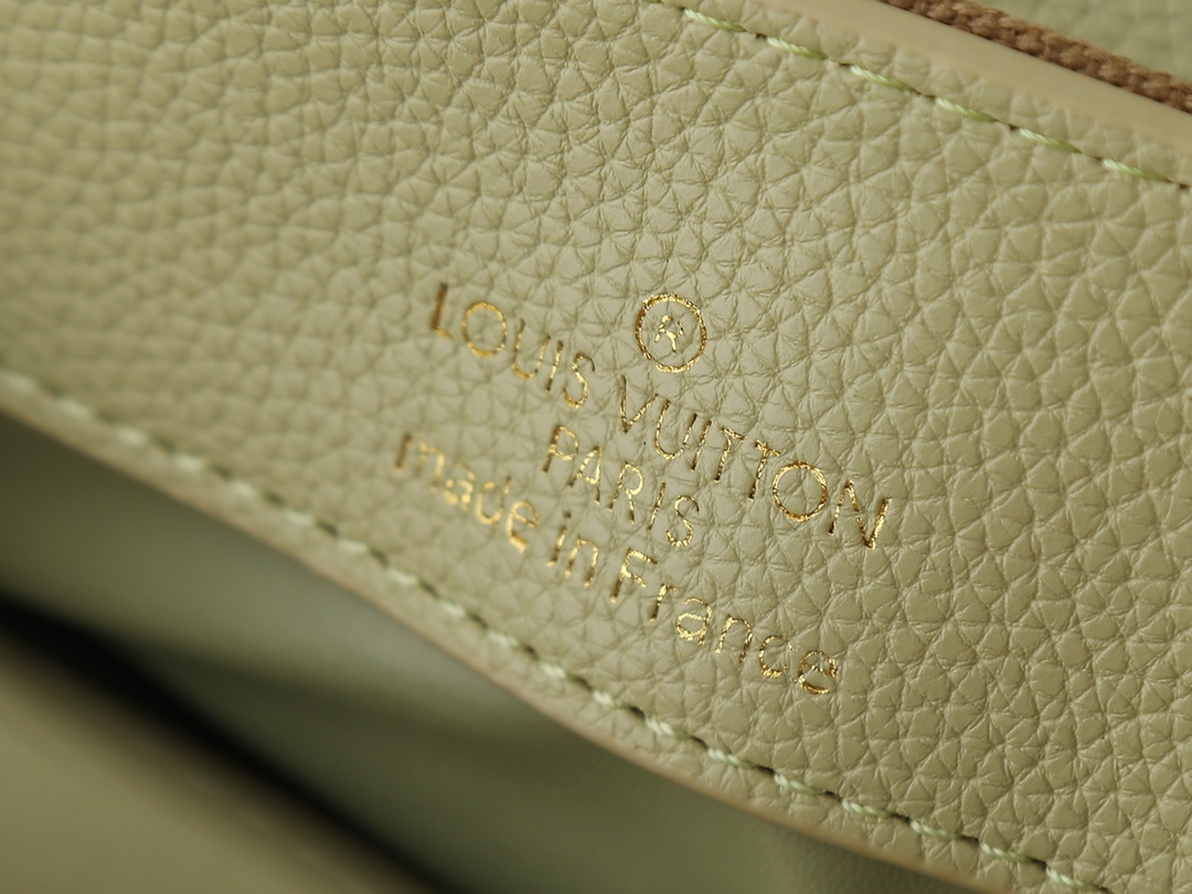 New Luxury LV Bag 10211