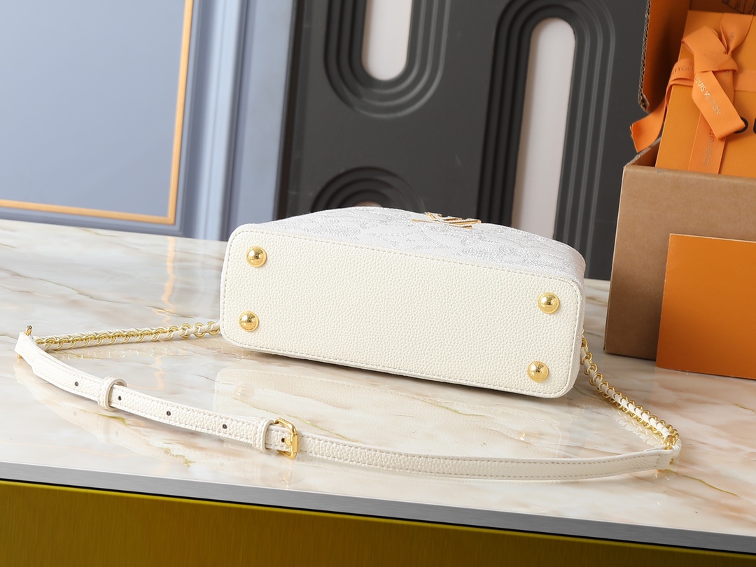 New Luxury LV Bag 10213