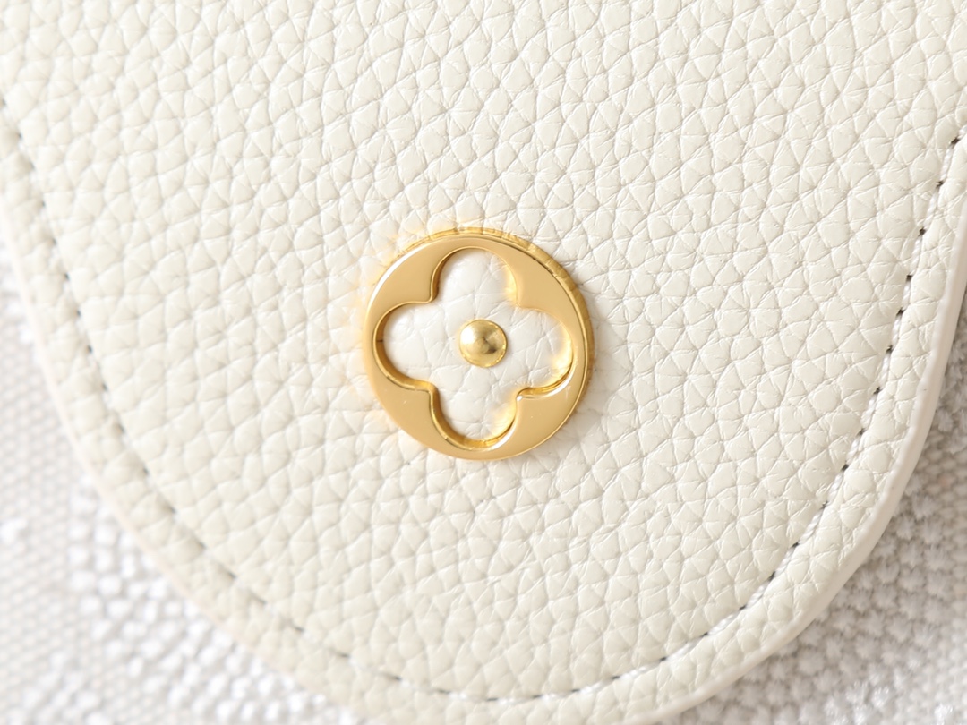 New Luxury LV Bag 10213