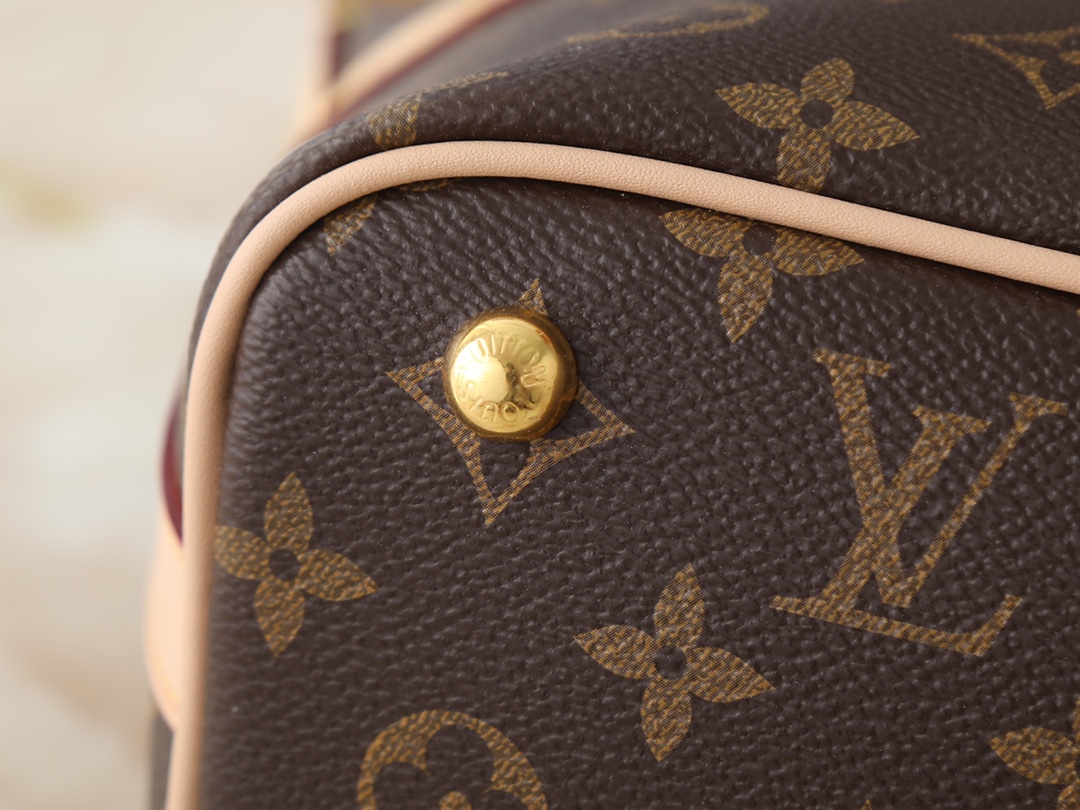 New Luxury LV Bag 10214