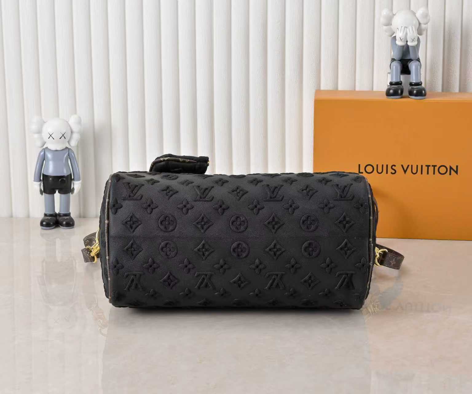 New Luxury LV Bag 10224