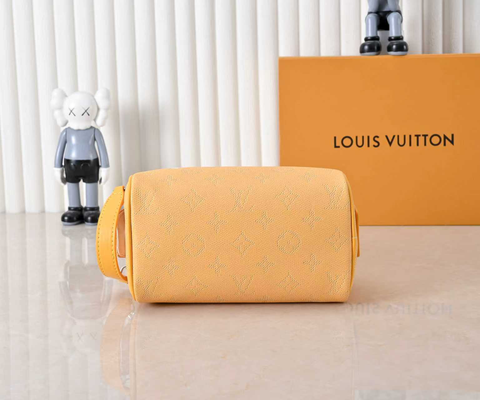 New Luxury LV Bag 10227