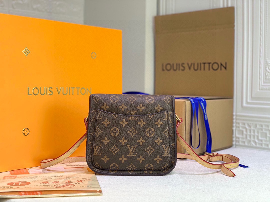 New Luxury LV Bag 10249