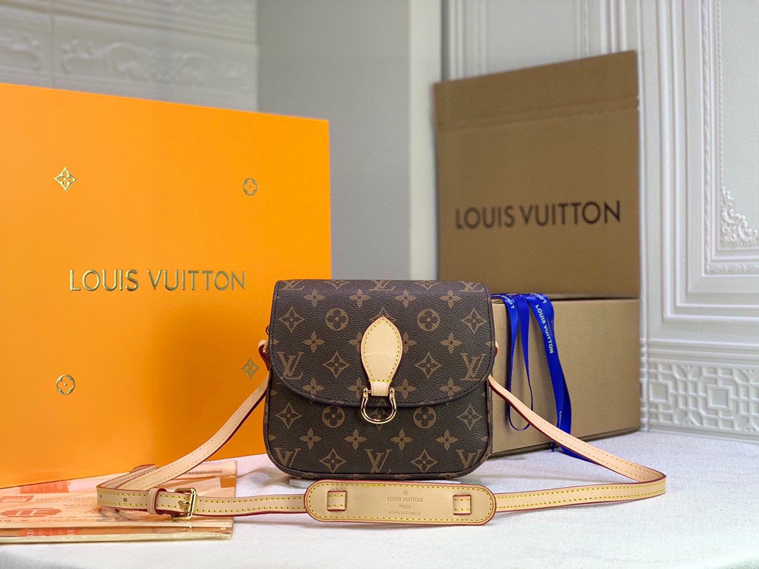 New Luxury LV Bag 10249