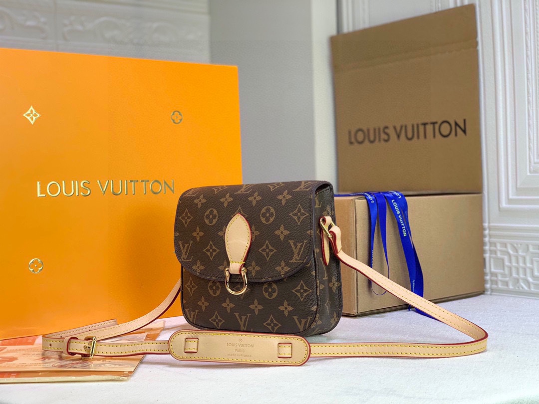New Luxury LV Bag 10249