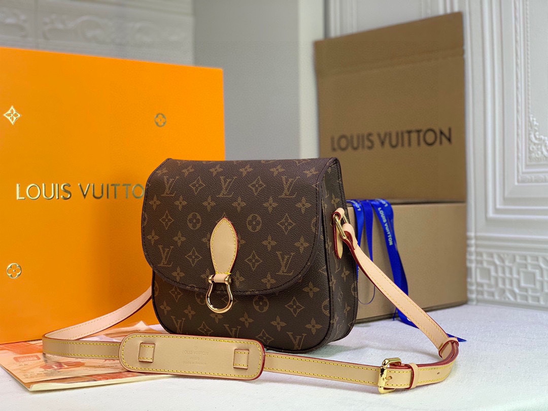 New Luxury LV Bag 10250