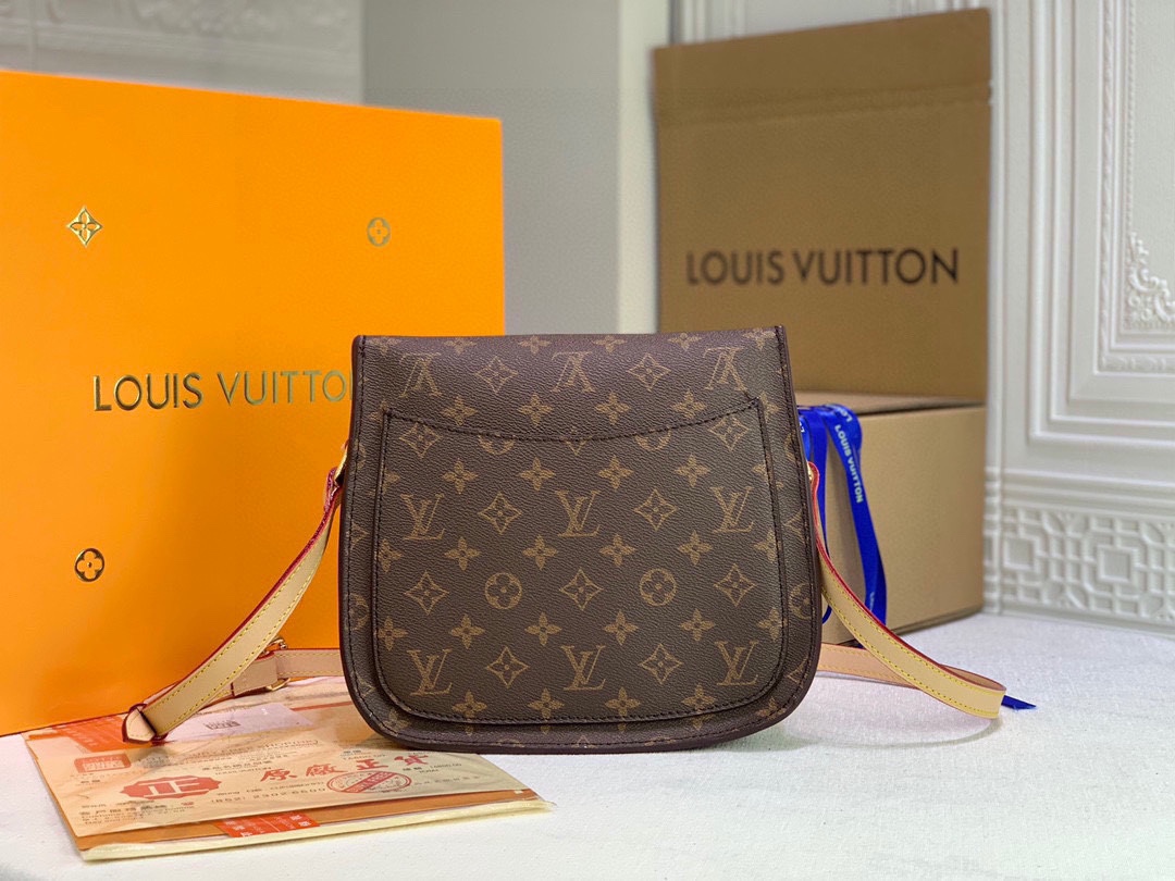 New Luxury LV Bag 10250