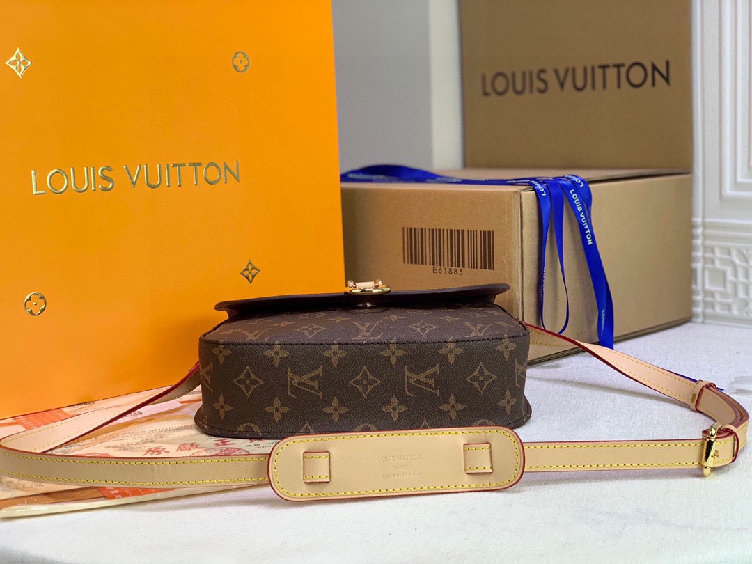 New Luxury LV Bag 10250