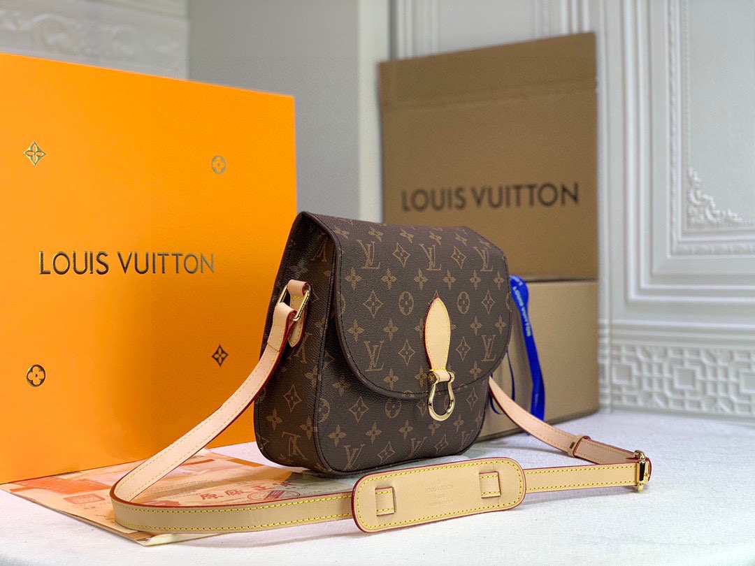 New Luxury LV Bag 10250