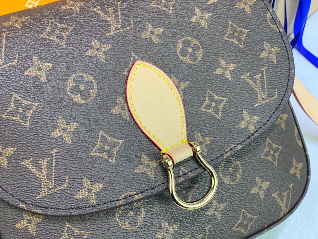 New Luxury LV Bag 10250