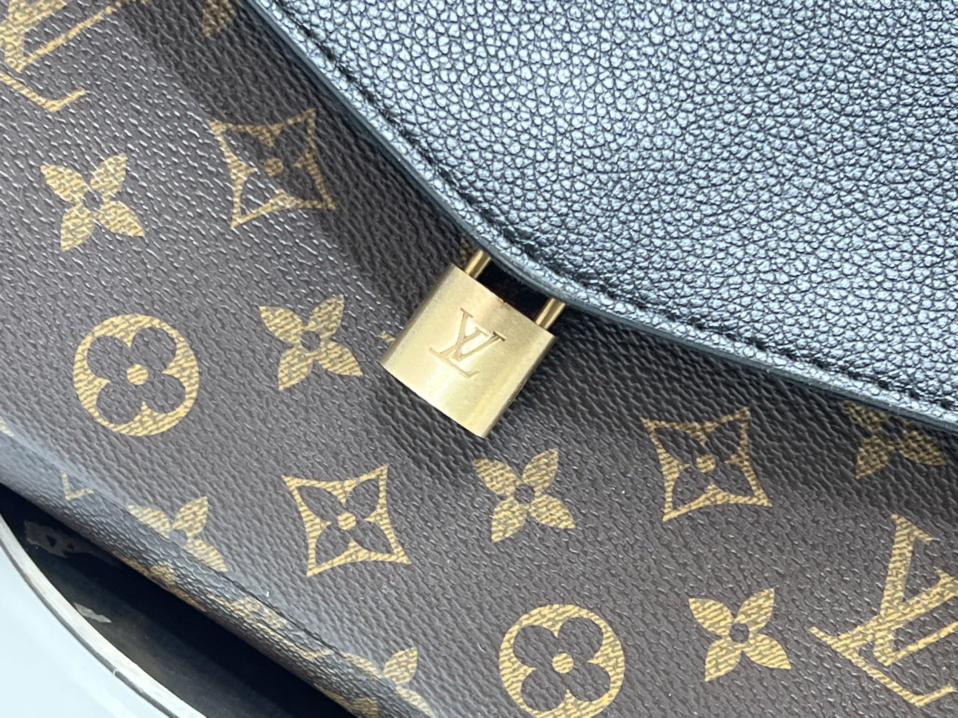 New Luxury LV Bag 10257